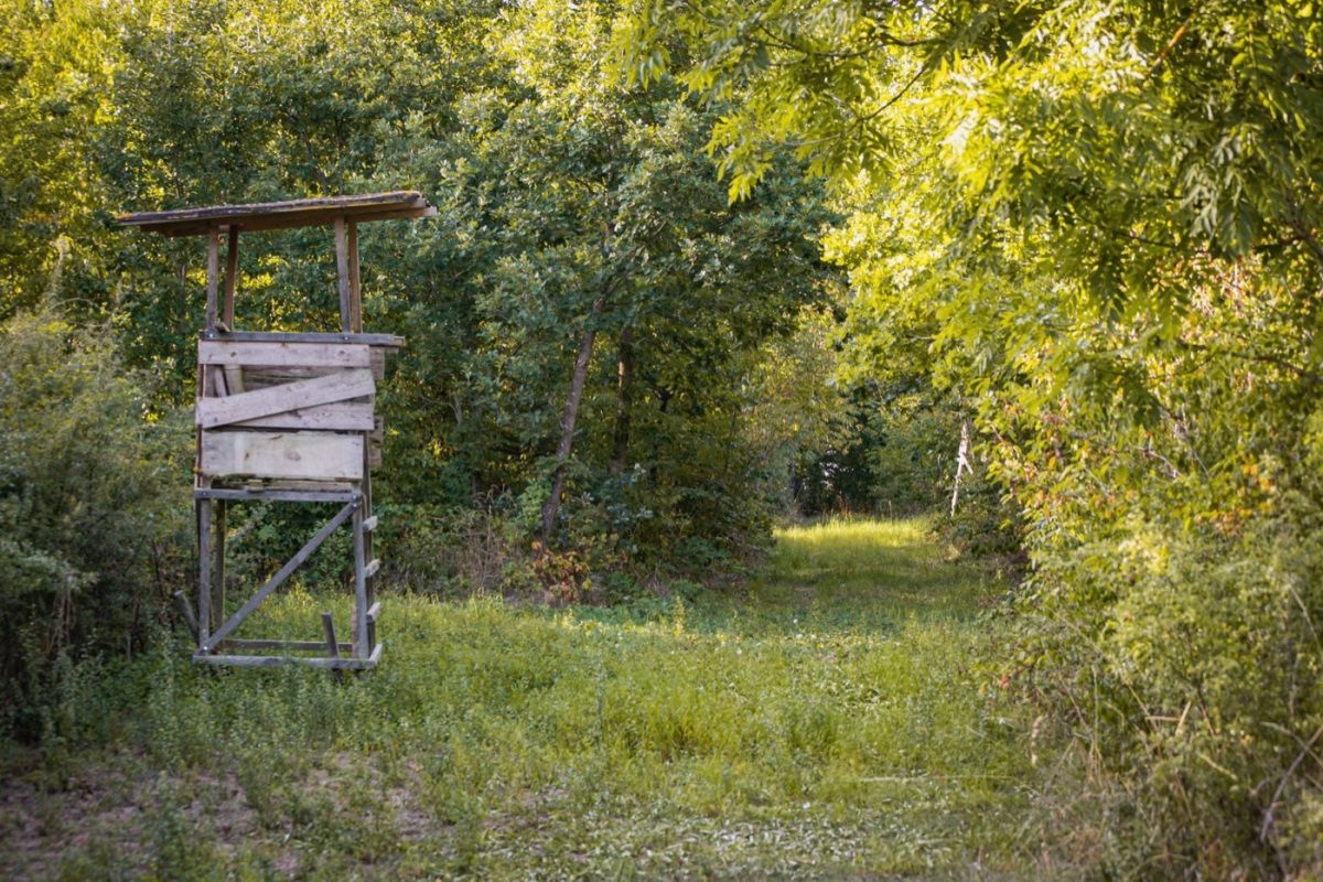Techniques pour rendre la chasse plus silencieuse