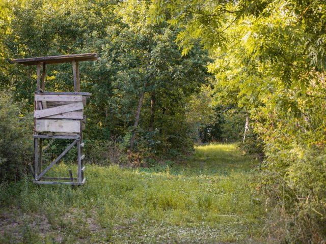 Techniques pour rendre la chasse plus silencieuse