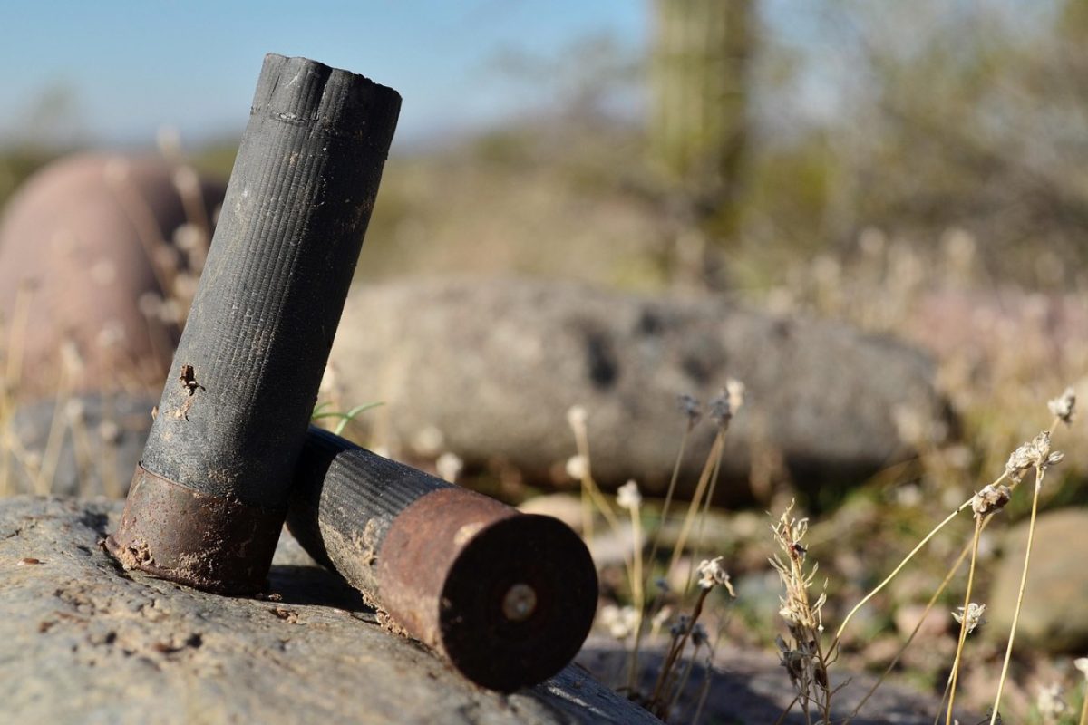 Franchi ou Benelli pour fusil de chasse : comparatif
