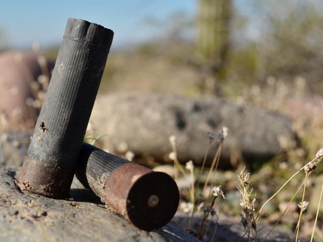 Franchi ou Benelli pour fusil de chasse : comparatif