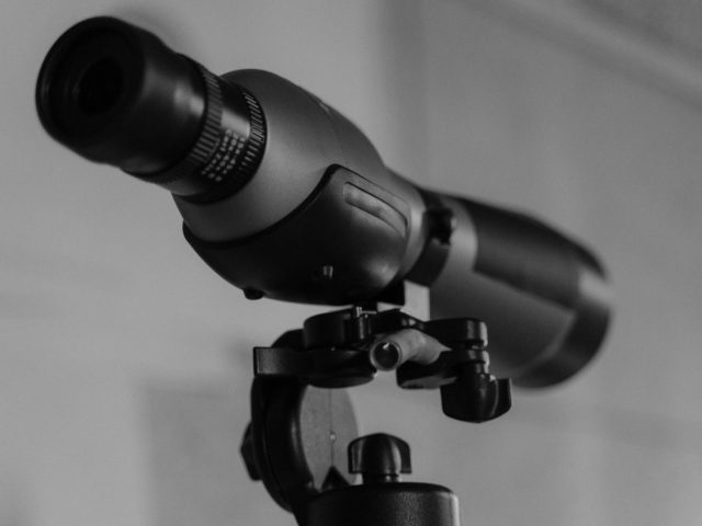 Leica ou Hawke : jumelles et longue-vue pour la chasse