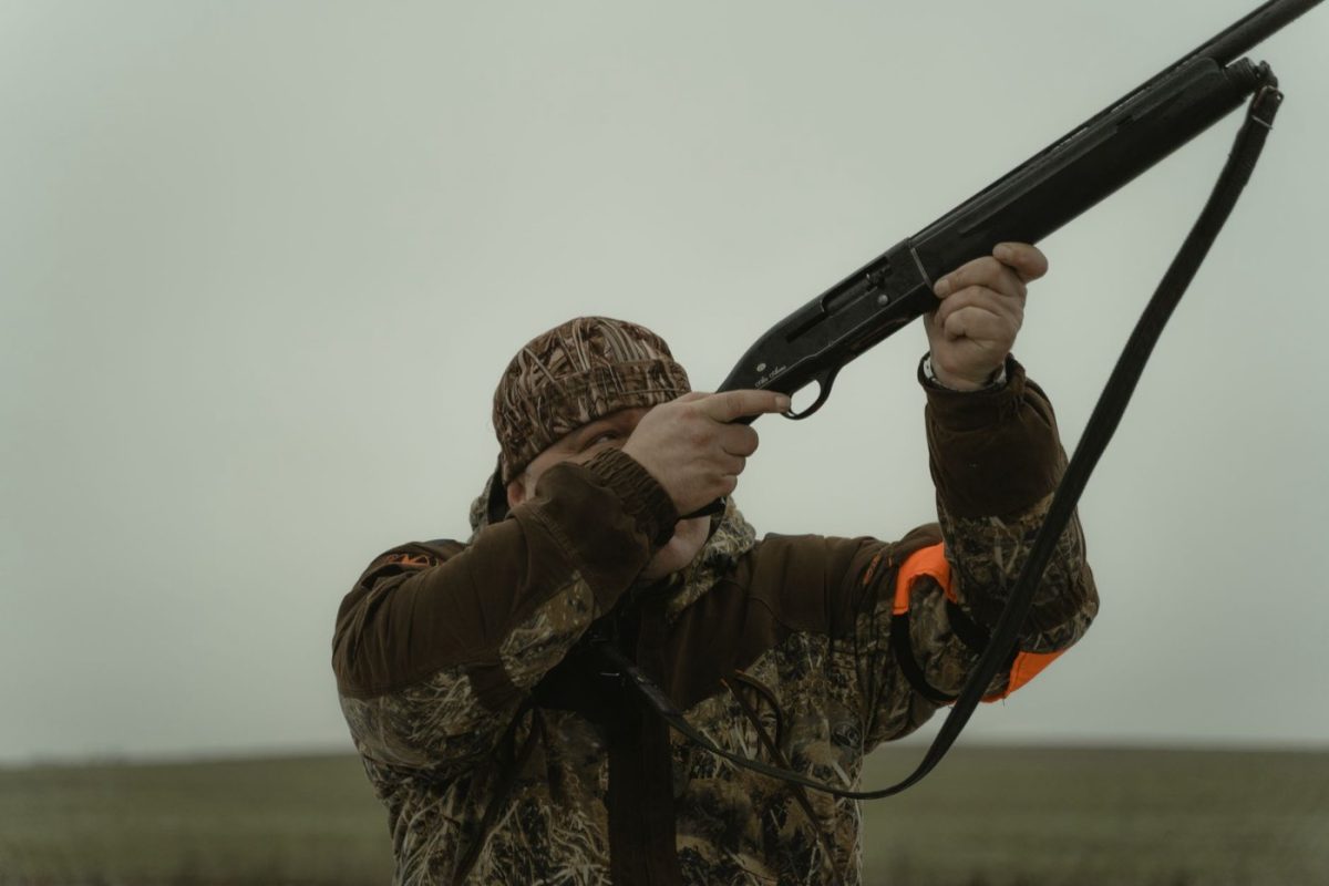 Meilleurs gîtes ruraux pour un séjour chasse dans l’Oise