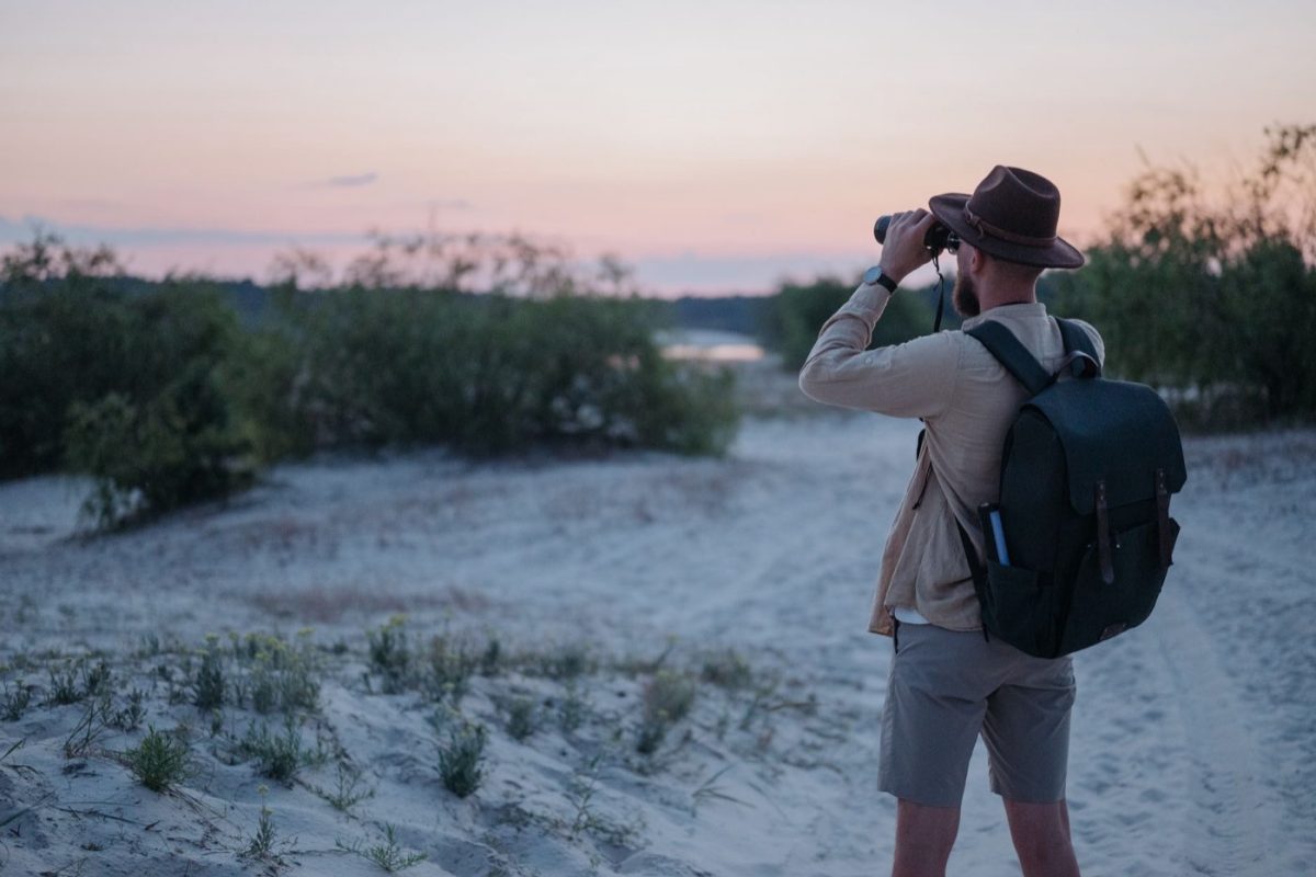 Kits d'approche pour la chasse en battue - guide synthétique