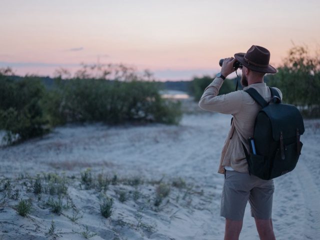 Kits d’approche pour la chasse en battue – guide synthétique