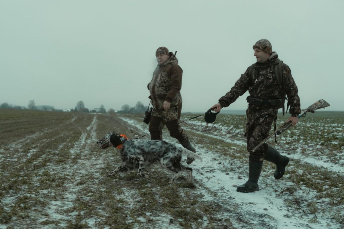 Top parcours pour chasse en battue et approche en France