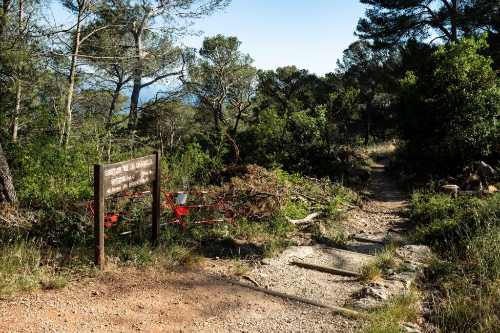 Attention aux restrictions d’accès aux massifs forestiers dans le sud de la France