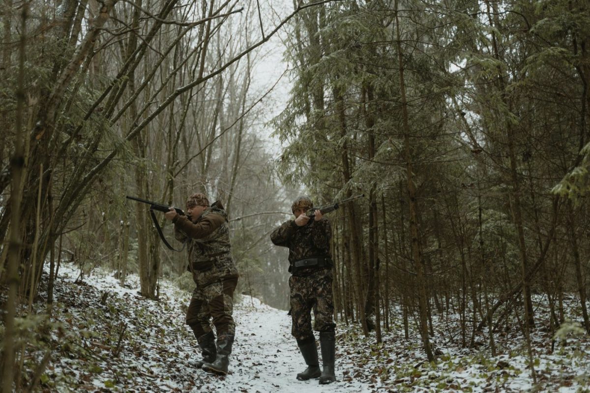 Sako ou Tikka pour la chasse : comparatif des offres