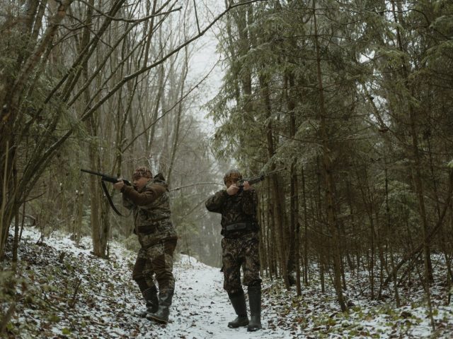 Sako ou Tikka pour la chasse : comparatif des offres