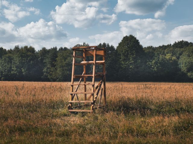 Assurer votre sécurité lors des sorties de chasse