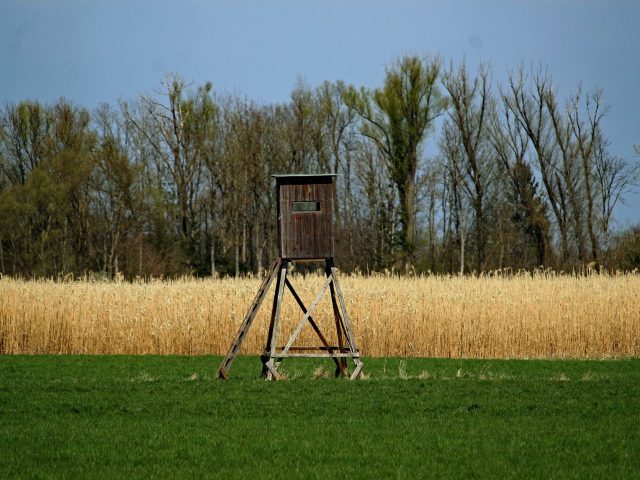 Nouvelles aides aux chasseurs en Isère : ce qu’il faut savoir