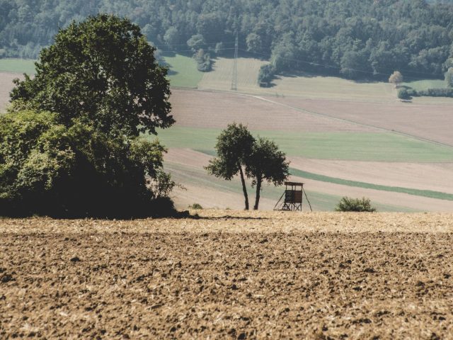 Chasse 2026-2027 : Ce que vous devez savoir des nouvelles règles et dates