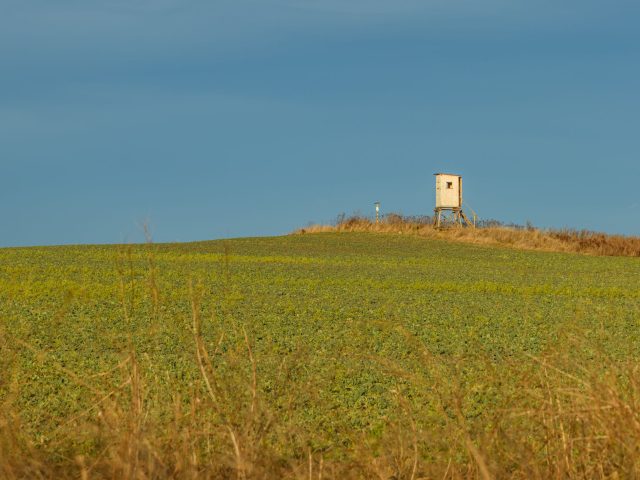 Nouvelles dates pour la chasse anticipée : ce qu’il faut savoir