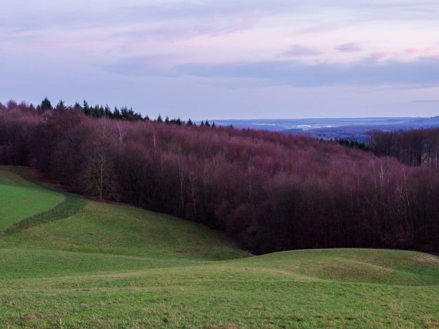 Nouvelles opportunités de chasse à l’étranger en 2027