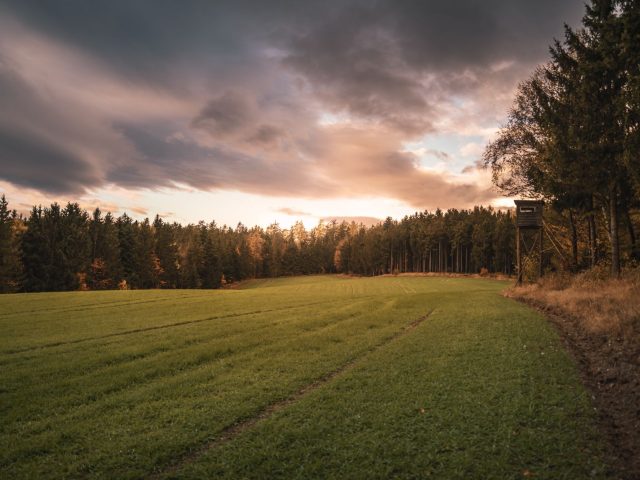 Quelles sont les dates d’ouverture de la chasse en France début septembre ?