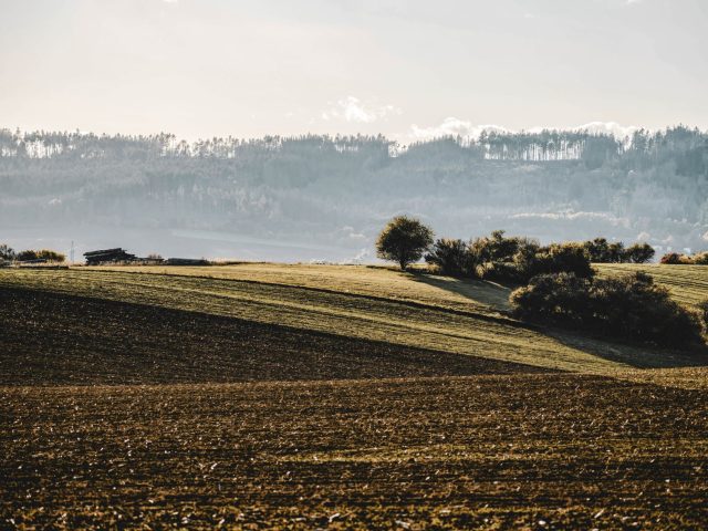 Dates d’ouverture de la chasse et nouvelles règles pour cette saison