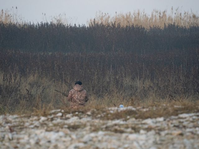 Nouvelles Règles et Dates d’Ouverture de la Chasse : Ce Qu’il Faut Savoir