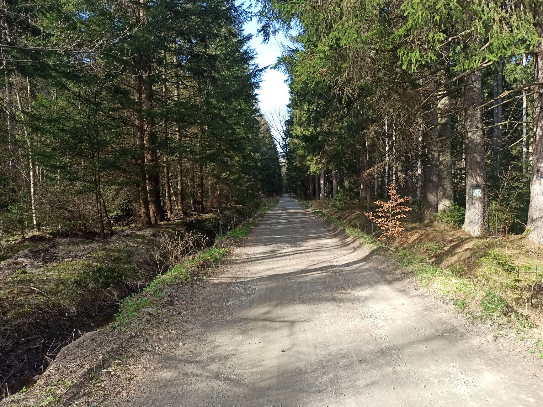 Itinéraire type pour une sortie de chasse en forêt