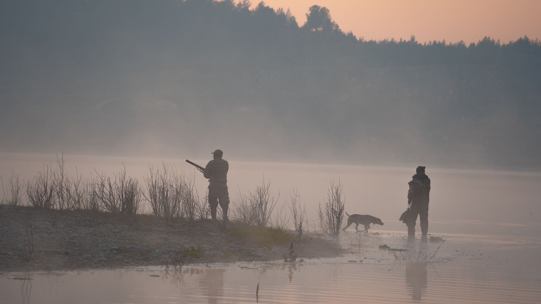 Parcours de chasse autorisés dans l’Oise — démarches et contacts